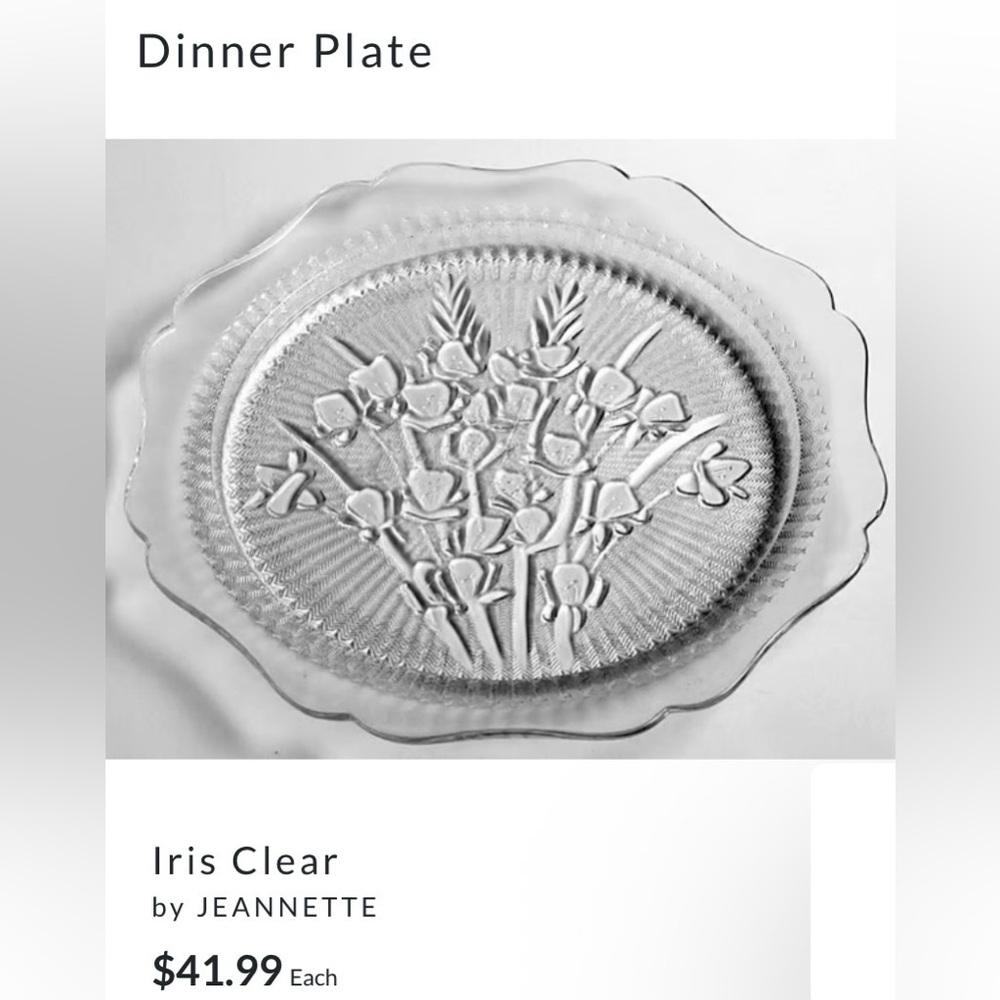 (4) Iris & Herringbone Clear Dinner Plates - Picture 3 of 6